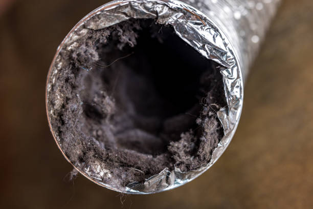 Best Professional Duct Cleaning Services  in Norton Center, MA